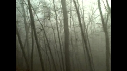 Sigur Ros - Von