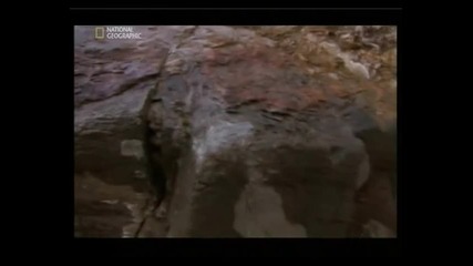 Naked Science - Ancient sea monsters 5