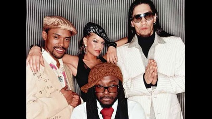 The Black Eyed Peas - I Gotta Feeling