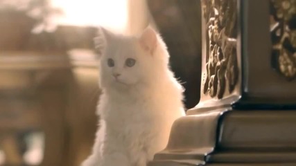 / 2013 / Faydee - Can't Let Go } Megamix ( Official )