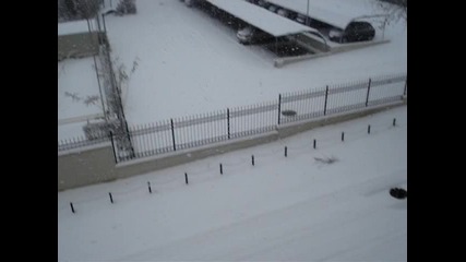 Много сняг 16.12.2010 г. 