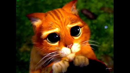 mangekyu sharingan cat version 