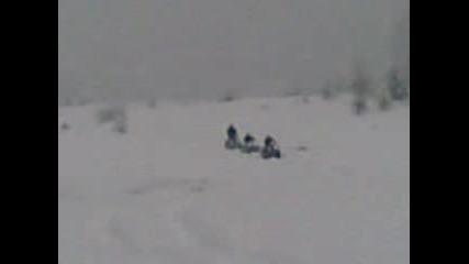 Греен Тийм