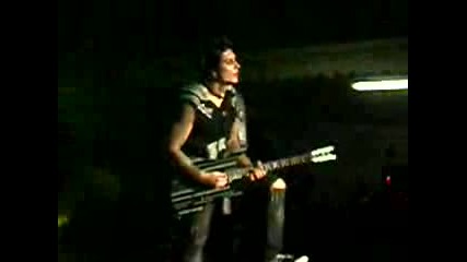Synystergates solo