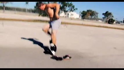 Jackass -bee limo