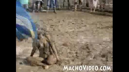 Пияна Мацка 