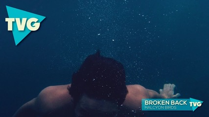 Broken Back - Halcyon Birds