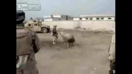 Смях!овца срещу двама американски войника в Ирак 