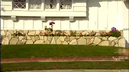 Куче Скейтбордист 2 