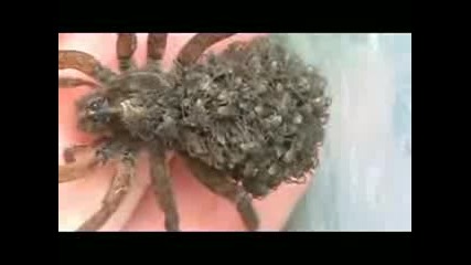 майка с децата си