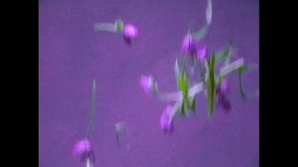 Will Downing - Test Of Time 