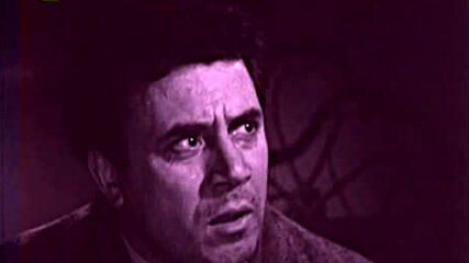 Русият и гугутката ( 1964 )
