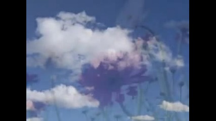 Omar Akram - Dancing with the wind 