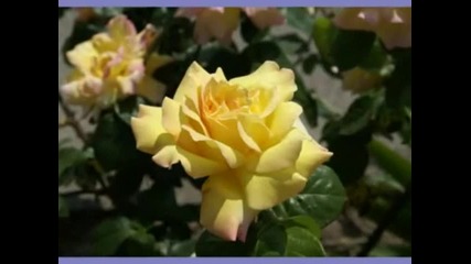 Йорданка Христова La historia de un amor