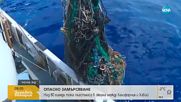 ОПАСНО ЗАМЪРСЯВАНЕ: Над 80 000 тона отпадъци в Тихия океан между Калифорния и Хаваи