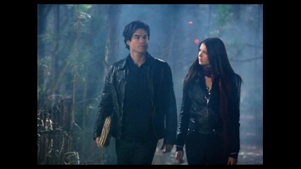 Elena Gilbert & Damon Salvatore(the Vampire Diaries)