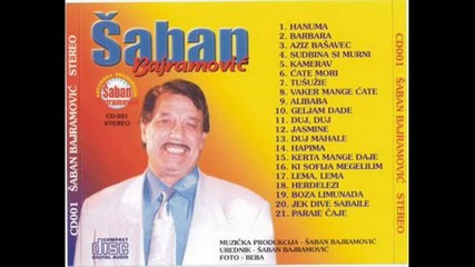 saban bajramovic mo gili