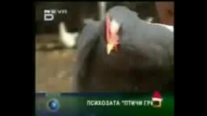 [ Смях! ] Ромски изцепки *