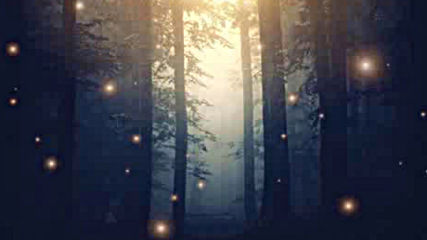 Halloween Fantasy Music Enchanted Forest Beautiful Magical Spooky