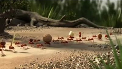 It's smarter to travel in groups - анимация