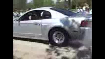 Mustang Pili Gumi!!!