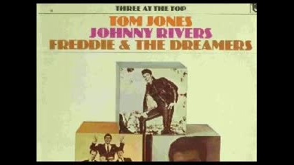 Tom Jones - If I had you