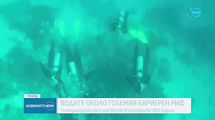 Учени: Водите около Големия бариерен риф са най-топли от 4 века насам