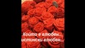 Алла Пугачова - Милион червени рози + текст 