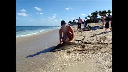 Beach Shark Fishing 2