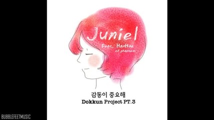 Juniel - Emotion Is Important Feat. Hanhae of Phantom [dokkun Project Part.3]