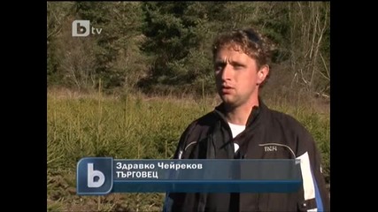 Пътят на коледното дръвче
