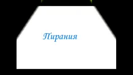 Видове Декоративни Рибки 2