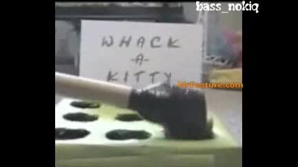 Забавна игра с котки