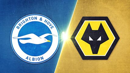 Brighton and Hove Albion vs. Wolverhampton Wanderers FC - Game Highlights