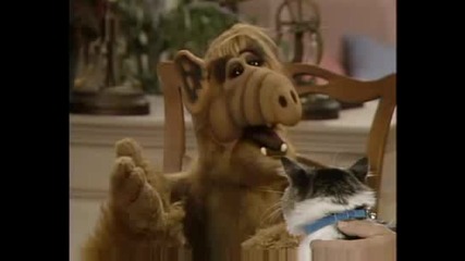 Alf Talk With Lucky