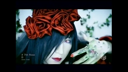 D - 7th Rose [pv]