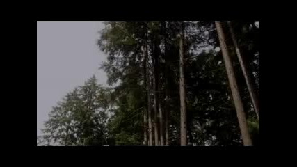 Eureka s01e08