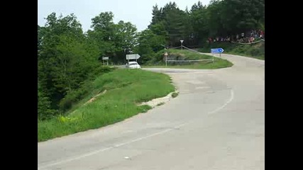 Рали Вида 2009
