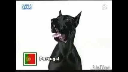 Реклама на каишка за бълхи 
