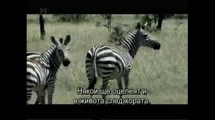 Живот след хората - Дом в развалини Сезон 2 Епизод 7 2/2 + бг субтитри