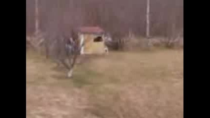 Counterstrike in Real