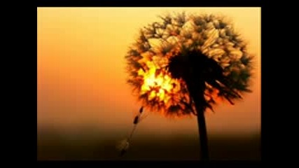 Wonderful Chill Out Music! - by Blank n Jones - Summer Sun
