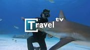 Travel TV - Не е трудно да хванеш акула/ It's not hard to catch a shark