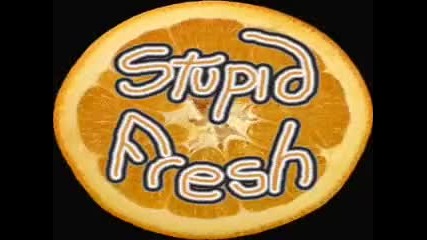 Stupid Fresh - Stupid Theme (twocker Remix)