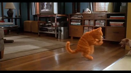 Garfield 