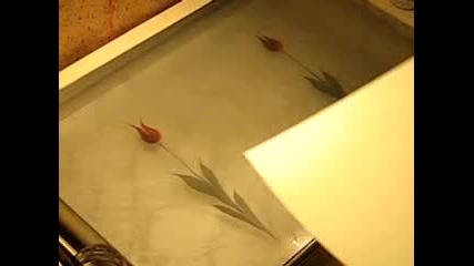Ebru Master - - Demonstration