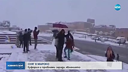 Дебел сняг покри палмите в Мароко