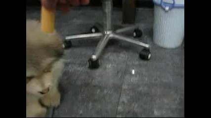 Много сладко кученце !!!