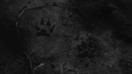 Gojira - L Enfant Sauvage [official Video]