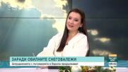 Зимното време и транспорта: Какви са критериите за безопасност и кога един полет не излита